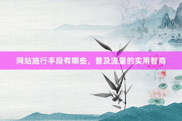 网站施行手段有哪些，普及流量的实用智商